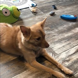 Meet your Posher, Patcharaporn